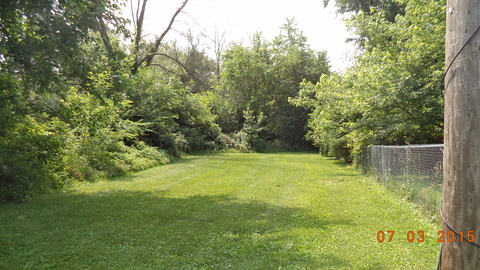 Grass lawn and surrounding foliage in Hidden Park