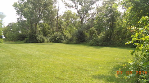 Field and trees at Hidden Park