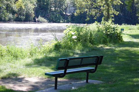 Pond shoreline with bench