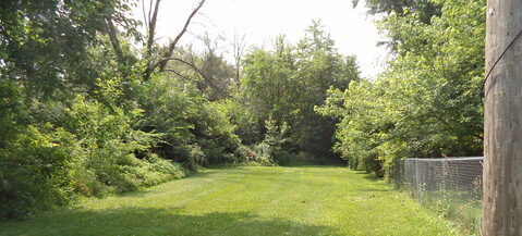 picture of hidden park field with trees